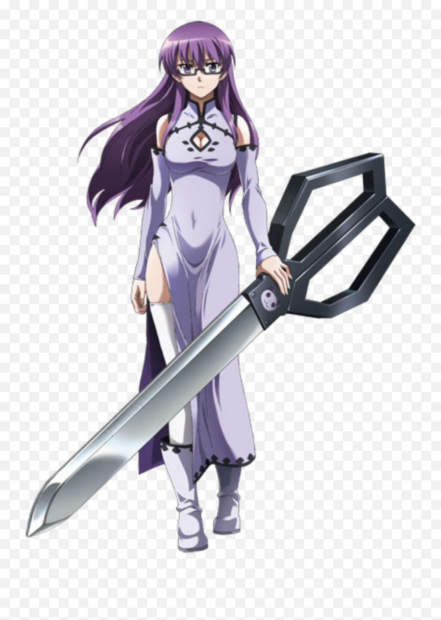 These 36 Purple Haired Anime Girls Are So Damn Interesting - Akame Ga Kill  Characters Sheele Png,Anime Girls Transparent - free transparent png images  