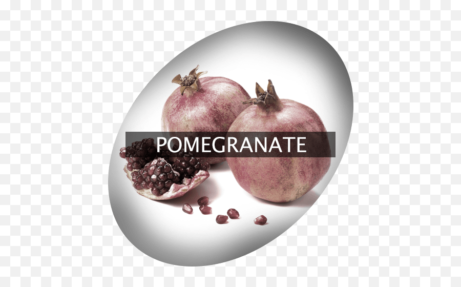 Pomegranate Indigrowcom - Shallot Png,Pomegranate Png