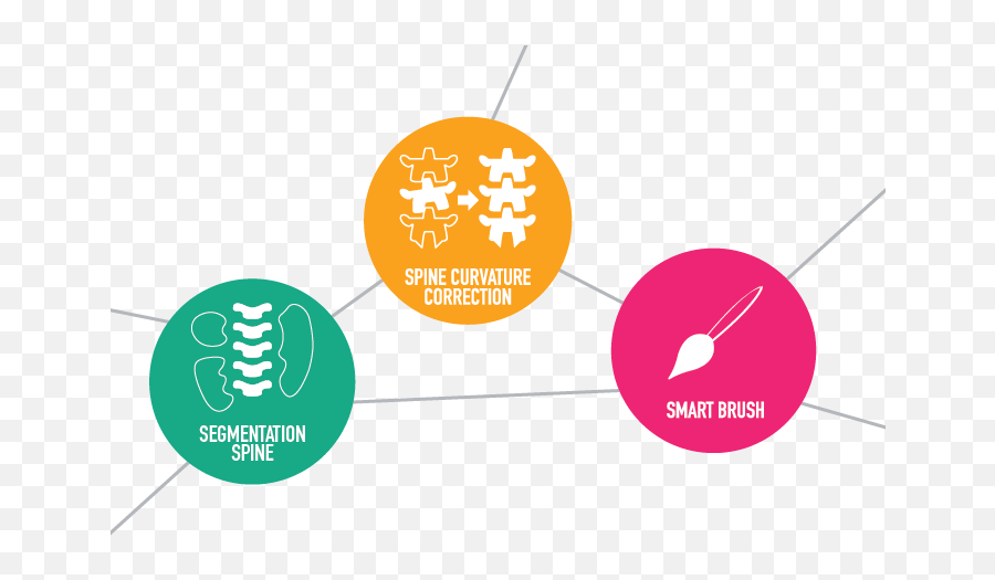 Spine Contouring With Brainlab Elements - Vertebrae Logo Png,Spine Png