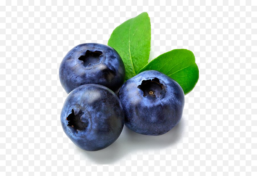 Blueberry Png Transparent Images Background