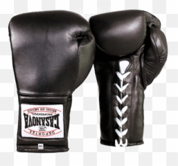 Best Boxing Gloves 2019 - Only Guide You Need Necalli png