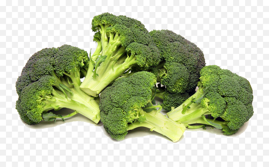 Green Broccoli Png Transparent Background Real - Broccoli Png,Vegetables Transparent