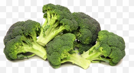 Green Broccoli Png Transparent Background Real - Png