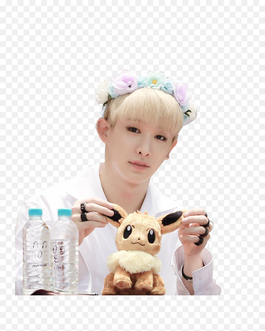 Wonho Png - Wonho Sticker Monsta X Flower Crown 4159564 Wonho Pokemon,Snapchat Flower Crown Png