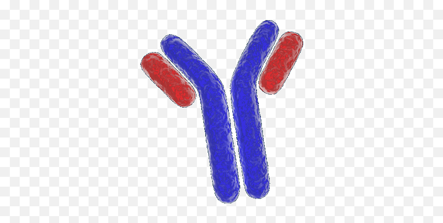 Antibodies Bio - Techne Dot Png,Antibody Png