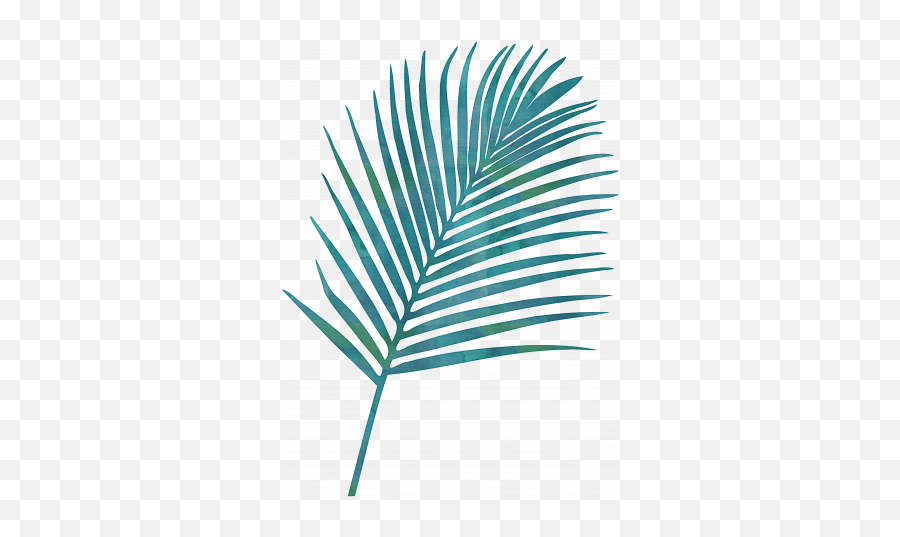 Destination Florida Beach Palm Branch Graphic By Jessica - Palm Leaf Graphic Png,Palm Branch Png