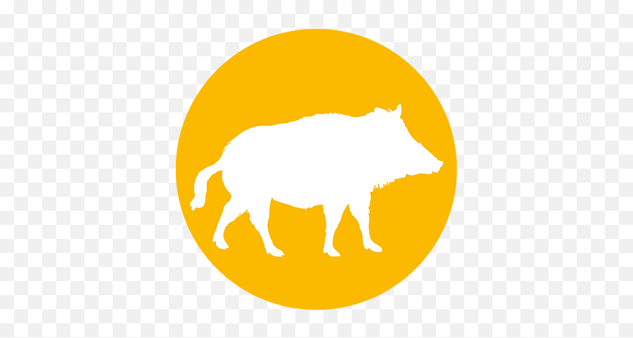 Exotisch Vlees Deli Ostrich Nv - Domestic Pig Png,Bison Icon