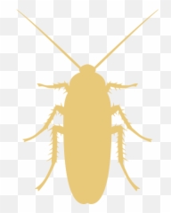 Pest Control In The Bay Area Crown U0026 Shield Solutions - And Pesticides Logo png