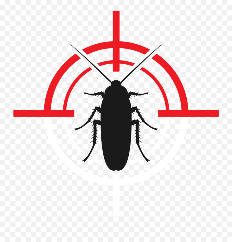 Home - Pest Management Services Of Lubbock Texas Parasitism Png,Pest Icon