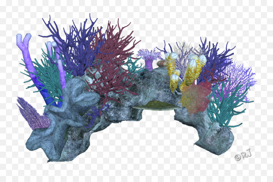 Download Decor Coral Invertebrate Aquarium Reef - Coral Reef Transparent Background Png,Coral Png