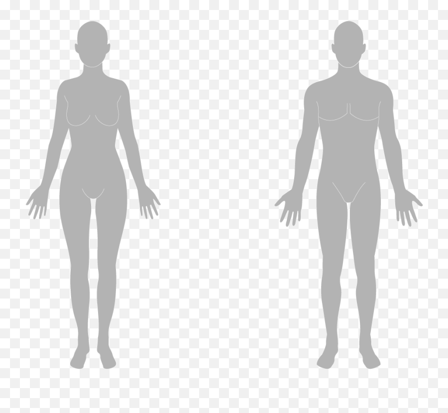 The Body Flashcards - Human Body Silhouette Png,Human Figure Png