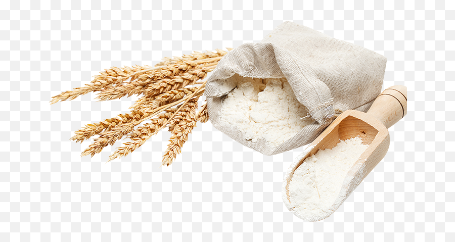 Wheat Flour Png 3 Image - Portable Network Graphics,Flour Png