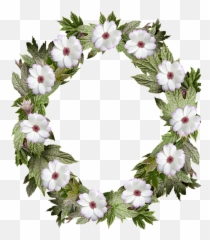 Apple Teacher Clipart Transparent Png