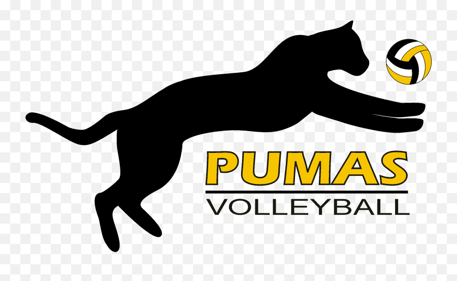 Pumas Volleyball Club - Pumas Volleyball Club Png,Puma Logo Transparent