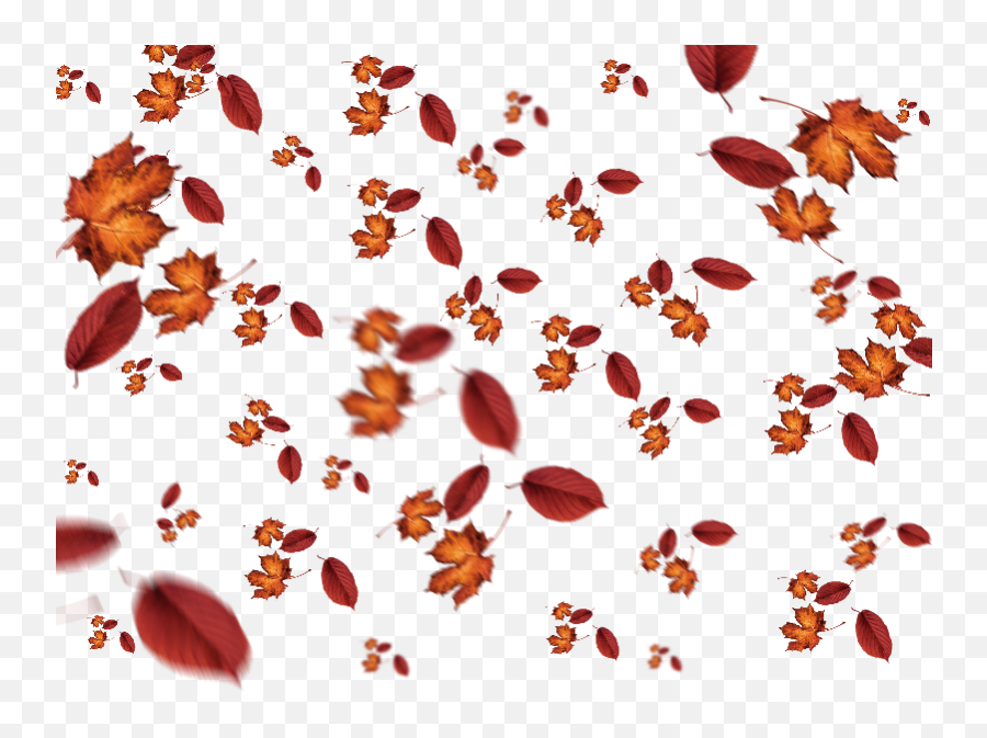 Falling Leaves Autumn Texture Overlay - Falling Leaves For Photoshop Png,Autumn Leaves Png