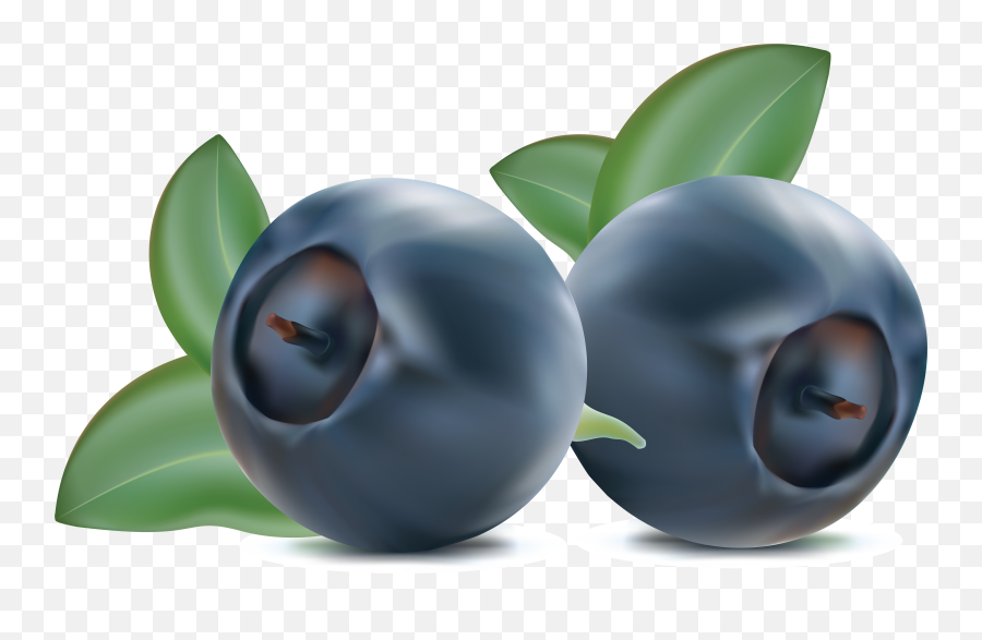 Download Blueberries Png Image For Free - Blueberries Clipart Png,Blueberries Png