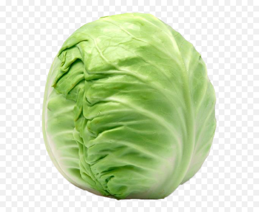 Cabbage Welcome To Grönsaksmästarna - Vitt Kål Png,Cabbage Transparent