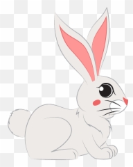 Clipart - Domestic Rabbit png
