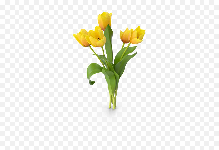 Yellow Tulip Png Free Download - Artificial Flower,Tulip Png