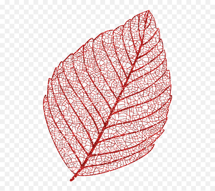 Skeleton Leaf Autumn Glitter - Free Image On Pixabay Leaf Skeleton Png,Red Glitter Png