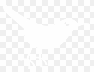 Twitter Bird White Clip Art - vector clip art Icon png