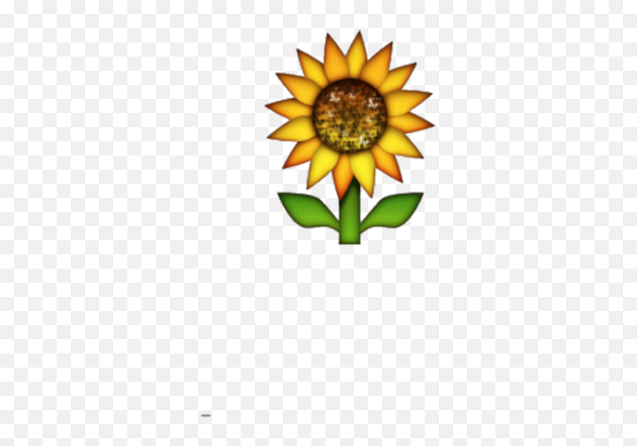 Download Hd Transparent Background Sunflower Emoji - Sunflower Emoji Transparent Background Png,Sunflower Transparent Background