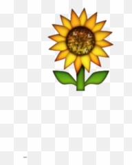 Download Hd Transparent Background Sunflower Emoji - png