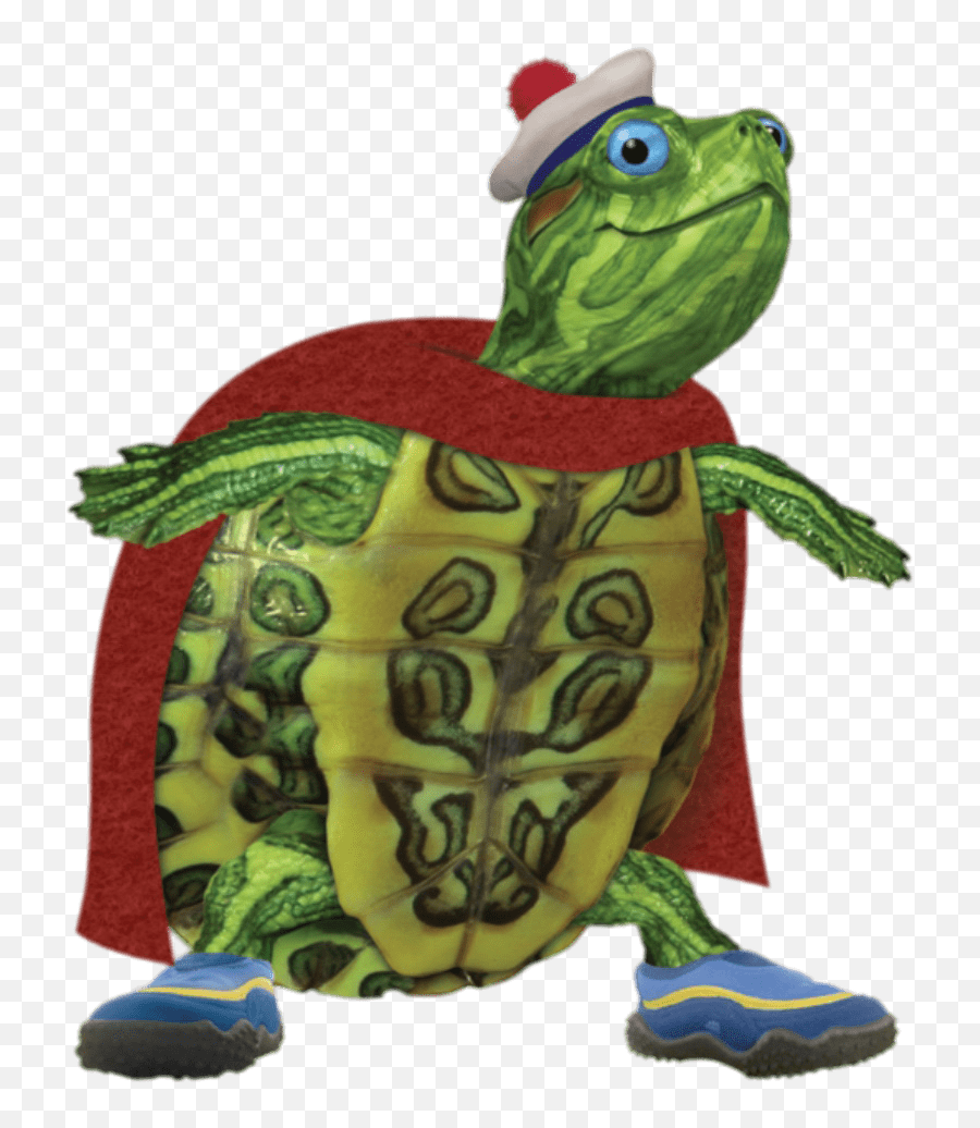 Turtle Tuck Looking Smart Transparent Png - Stickpng Wonder Pets Turtle Tuck,Turtle Png