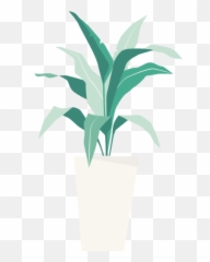 Free Online Potted Plants Green Vector For - Agave png