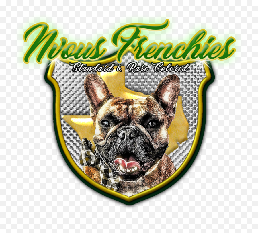 French Bulldog Png - Nvous Frenchies Logo Png 2556643 Sheild,Bulldog Png