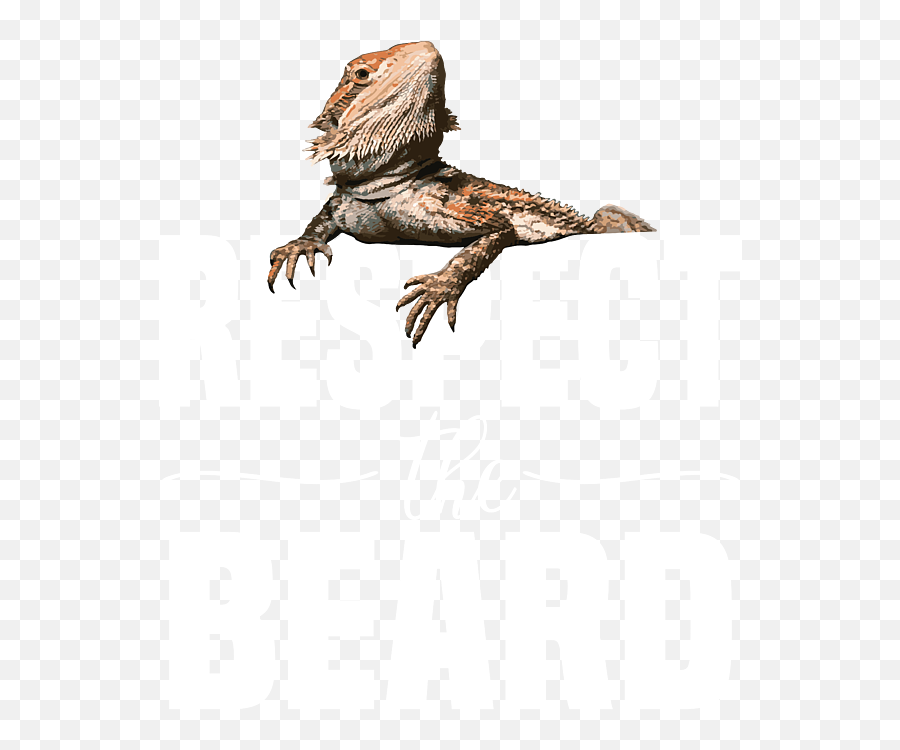 Funny Bearded Dragon Reptile Lizard Shower Curtain - Dragon Lizard Png,Bearded Dragon Png