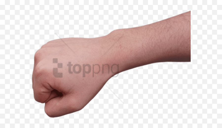 Clenched Fist And Forearm Transparent - Real Fist Png,Fists Png