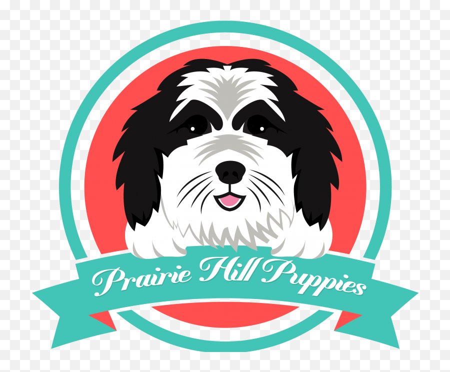 Prairie Hill Puppies - Prairie Hill Puppies Png,Puppies Png