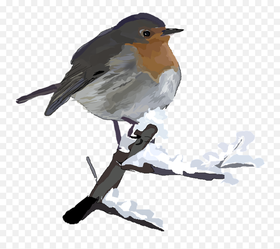 European Robin Transparent Images Png - Winter Birds Clip Art,Robin Transparent