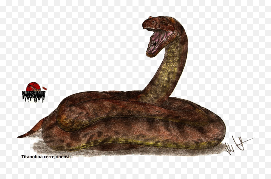 Titanoboa Snake Png Image Background Arts - Jurassic Park Snake,Cartoon Snake Png