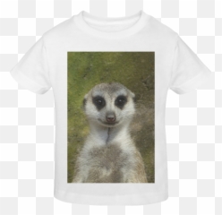 Funny Meerkat 001 Sunny Youth T - Shirt Funny Meerkat Full Meerkat Png,Meerkat Png