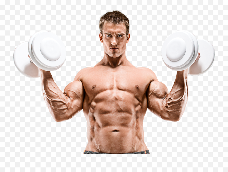 Download Rob Waslowski Bodybuilders - Curl Biceps Png,Rob Gronkowski Png