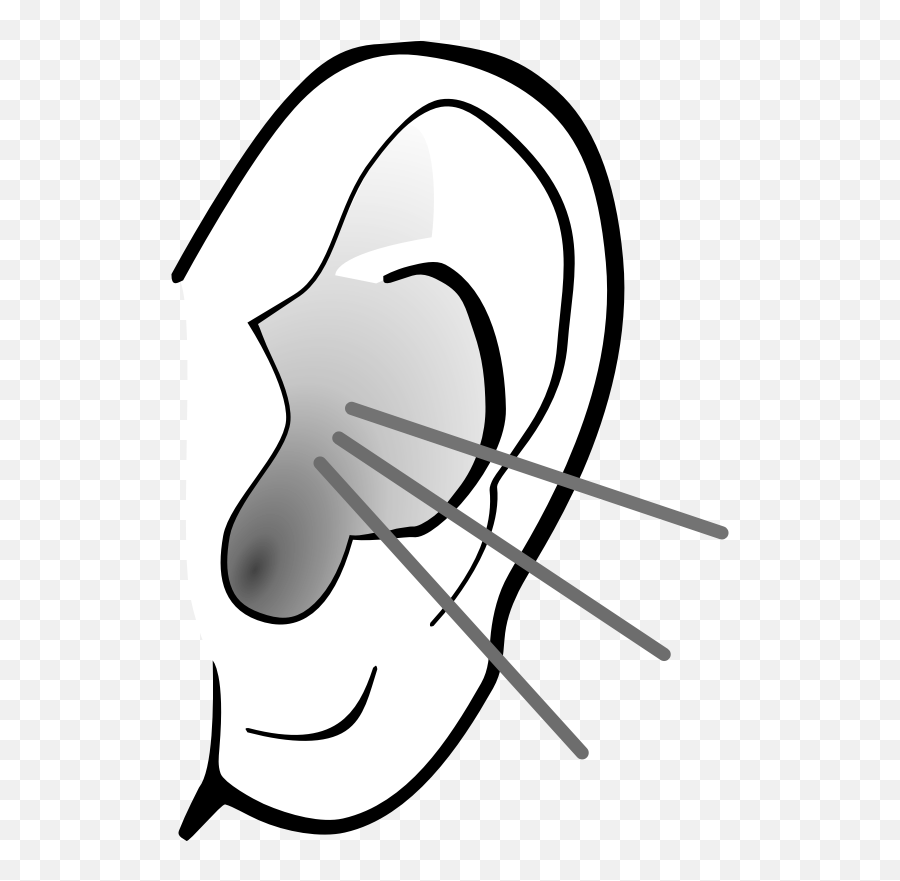 Black And White Ears Png Clipart - Listening Ear Png,Elf Ear Png