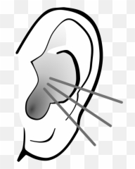 Black And White Ears Png Clipart - Listening Ear Png,Elf Ear Png