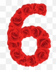 Rosas Rojas Número Seis Png Transparente - Stickpng Roses Numbers,Rosas Rojas Png