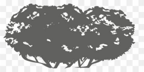Oak Tree Silhouette Ad Affiliate Paid - Hair Design png