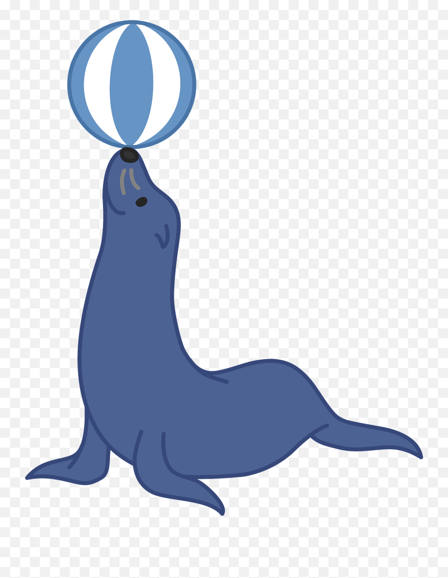 Sea Lion Animal Balancing Ball - Seal Balancing Ball On Nose Clipart Png,Sea Lion Png