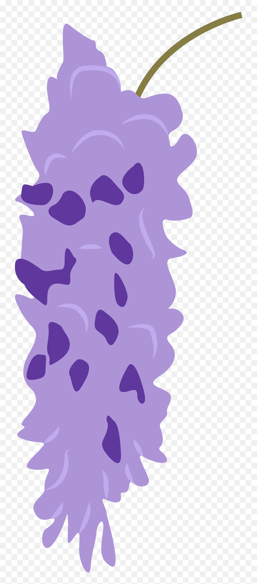 Wisteria Flower - Vertical Png,Wisteria Png