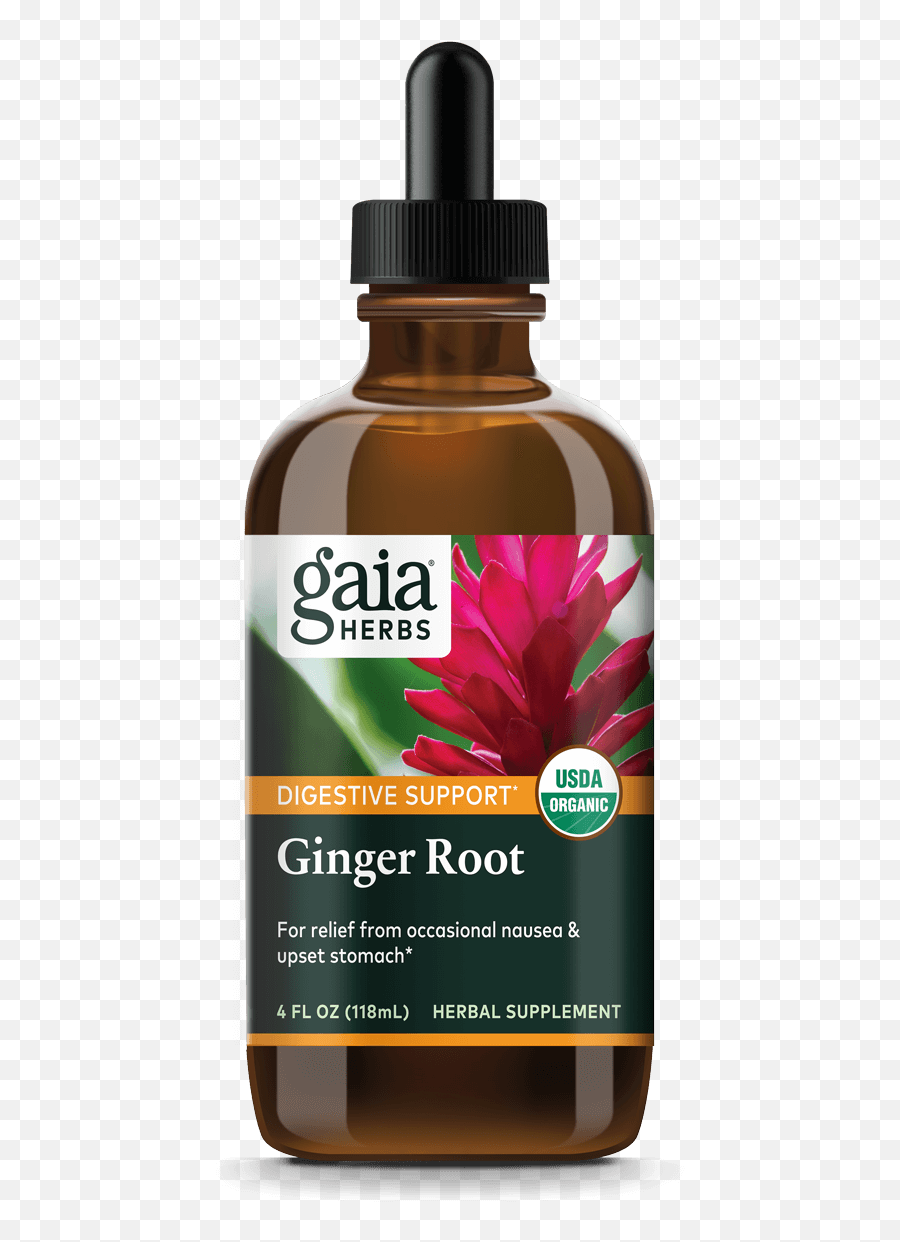 Ginger Root Certified Organic - Hemp Png,Ginger Root Icon