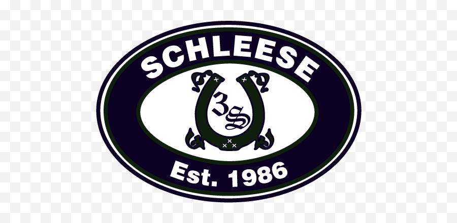 Saddle Fitting Registration - Schleese Saddles Logo Png,Used Custom Icon Flight Dressage Saddle