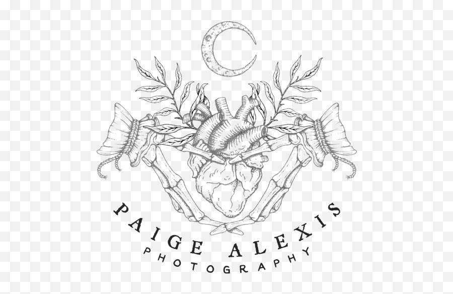 Faq U2014 Paige Alexis Photography - Language Png,Alexis Icon