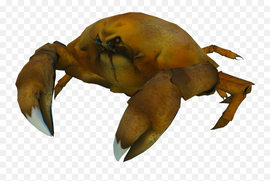 Fight Crab Presskit U2013 Calappa Games Nussoft - Crab Dark Souls Png,Crab Icon