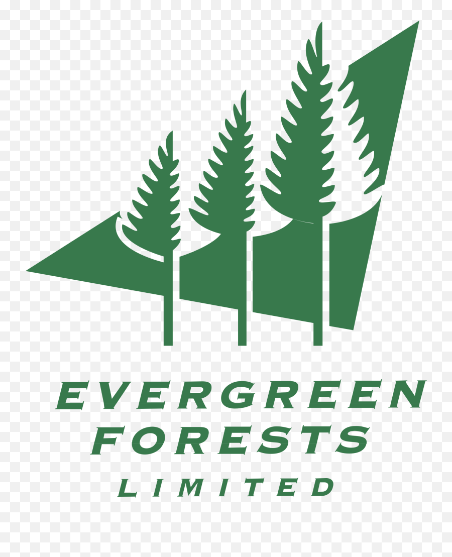 Evergreen Forests Logo Png Transparent U0026 Svg Vector - Evergreen,Evergreen Png
