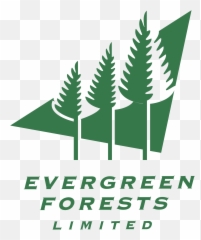 Evergreen Forests Logo Png Transparent U0026 Svg Vector
