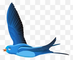 Bird Cartoon Transparent Png Clipart